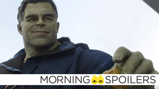 Mark Ruffalo Has Big Plans for the Hulk's MCU Future